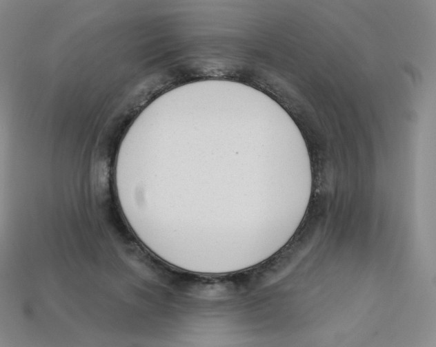 X0000113900646200910221439