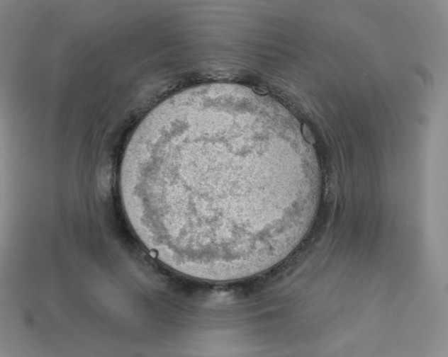 X0000113900647200910221439