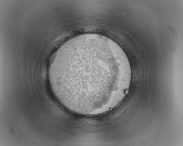 X0000113900648200910221439