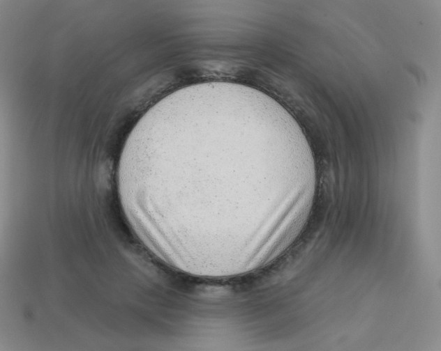 X0000113900649200910221439