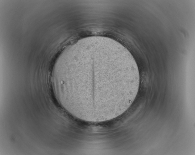 X0000113900650200910221439