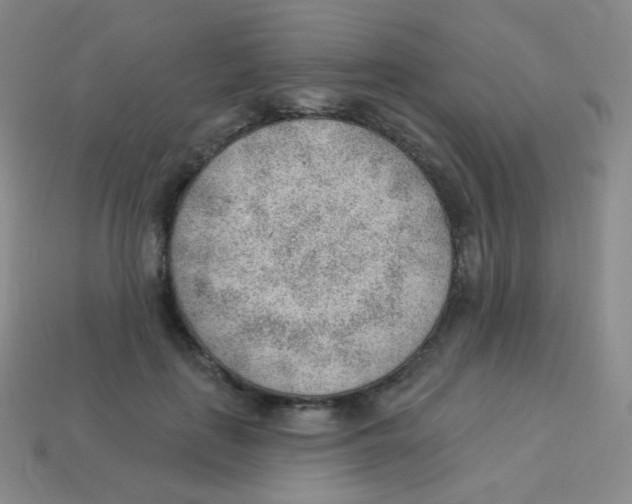 X0000113900651200910221439