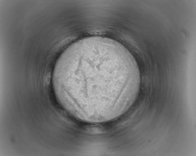 X0000113900652200910221439