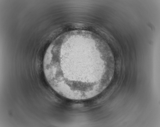 X0000113900653200910221439