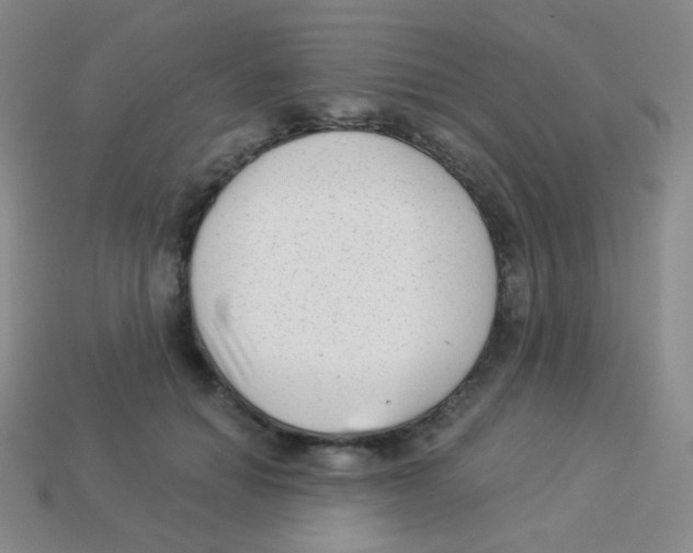 X0000113900654200910221439