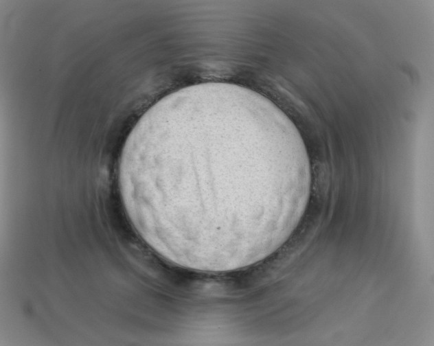 X0000113900655200910221439