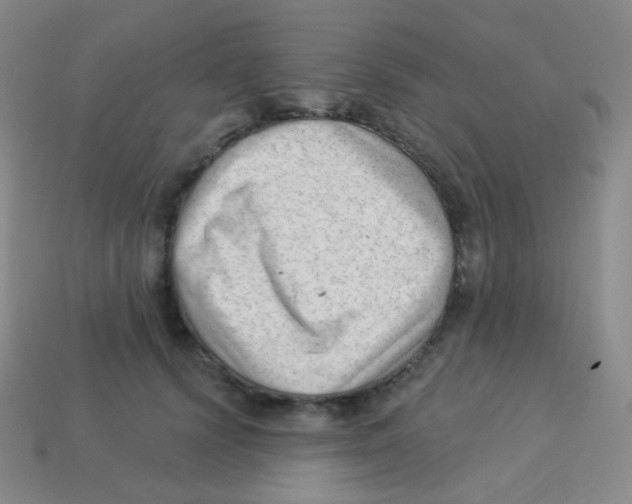 X0000113900656200910221439