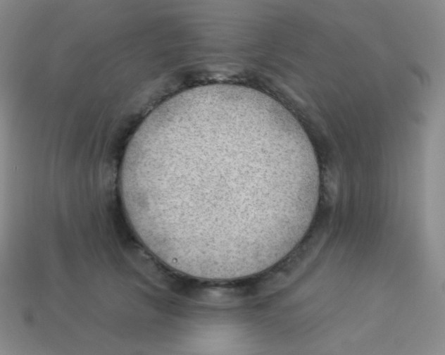 X0000113900657200910221439