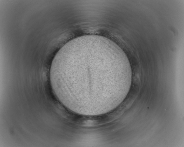 X0000113900658200910221439