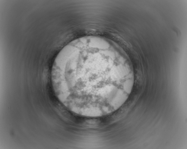 X0000113900659200910221439