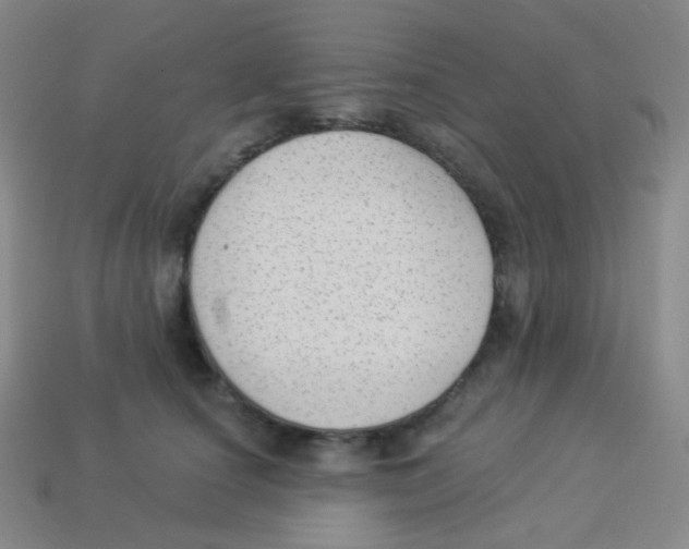 X0000113900660200910221439