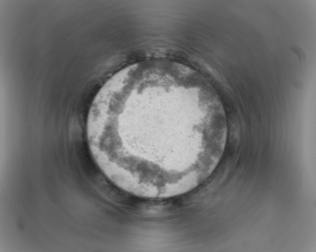 X0000113900661200910221439