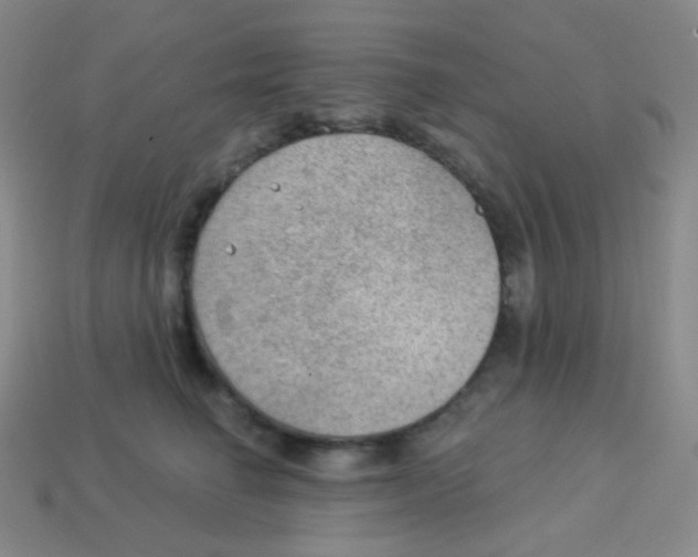 X0000113900662200910221439