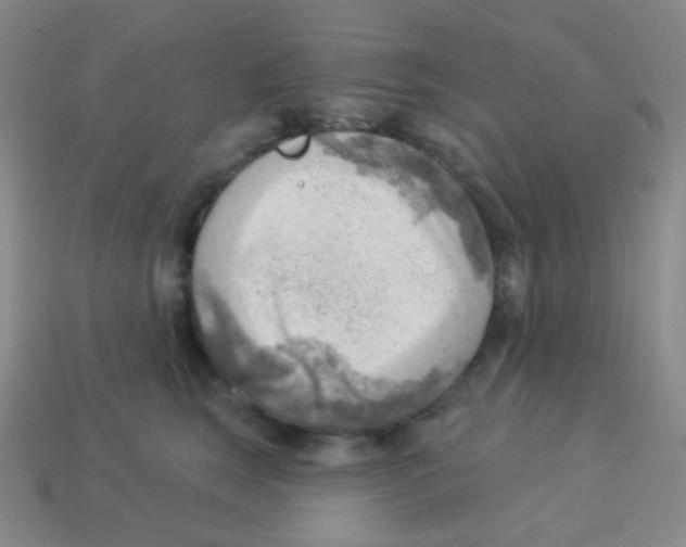 X0000113900663200910221439