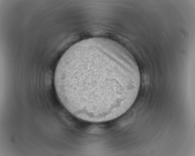 X0000113900664200910221439