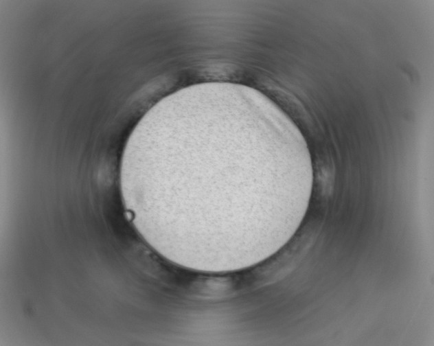 X0000113900665200910221439