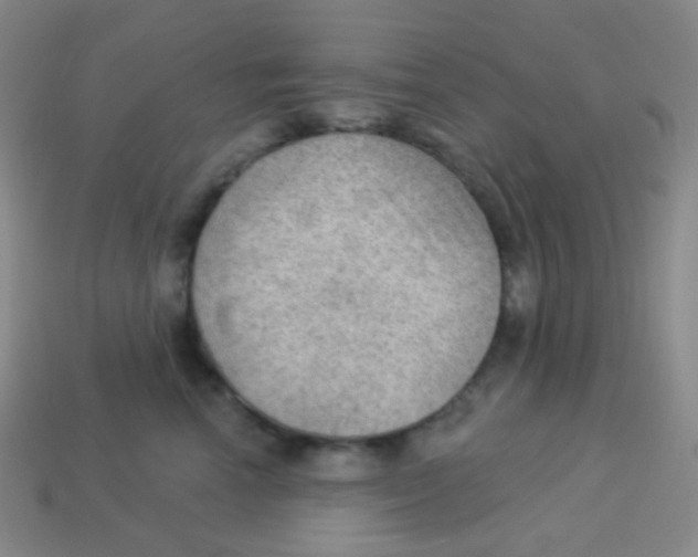 X0000113900666200910221439