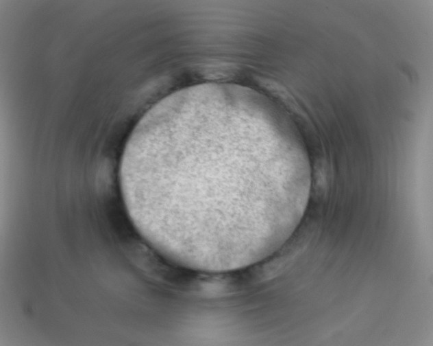 X0000113900667200910221439