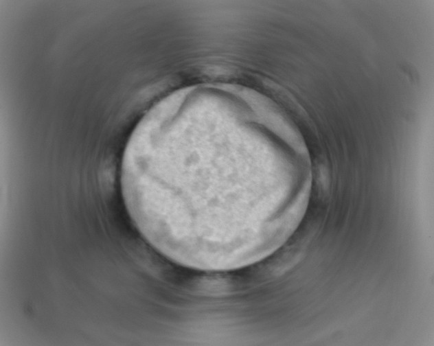 X0000113900668200910221439