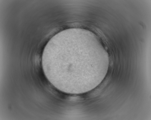 X0000113900669200910221439