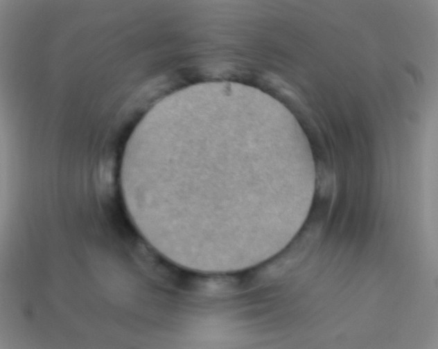 X0000113900670200910221439