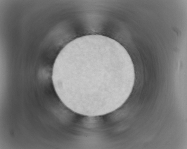 X0000113900672200910221439