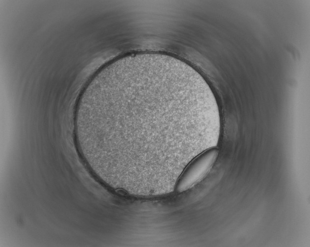 X0000113900673200910221439