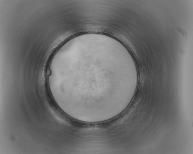 X0000113900674200910221439