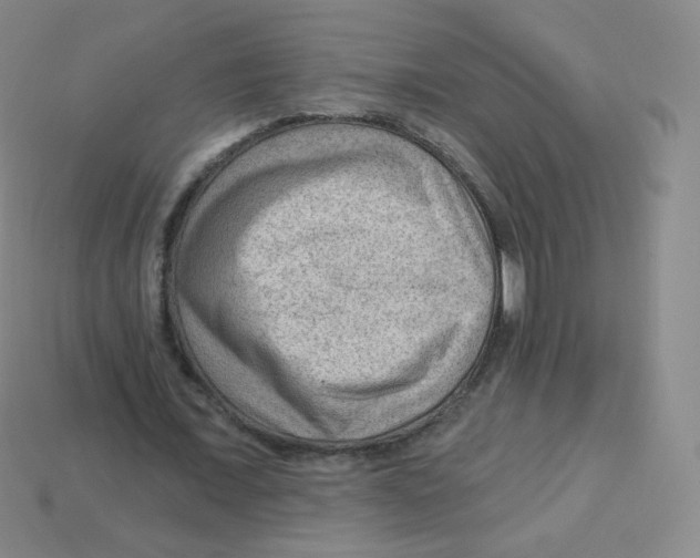 X0000113900675200910221439