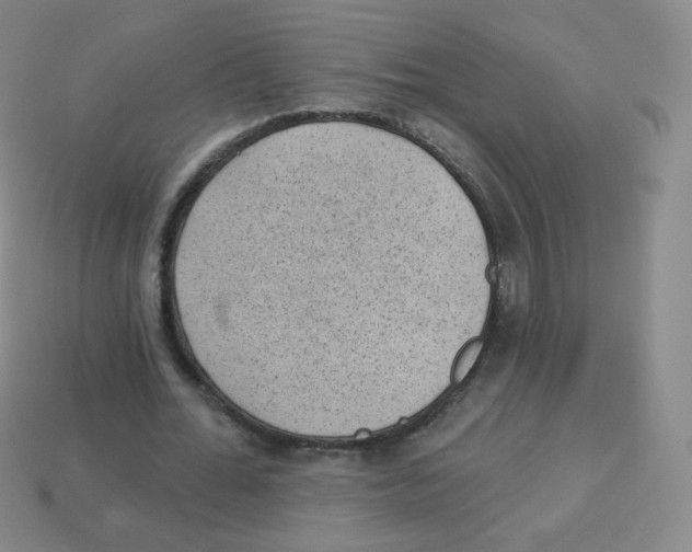 X0000113900676200910221439