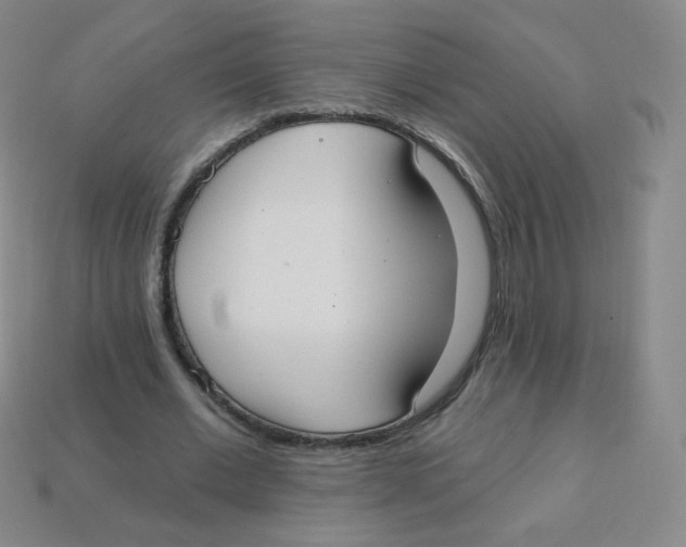 X0000113900677200910221439