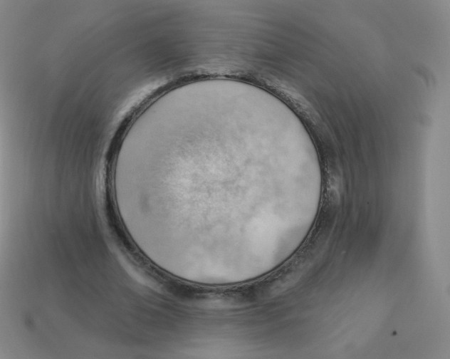 X0000113900678200910221439