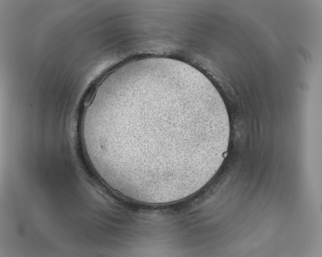 X0000113900679200910221439