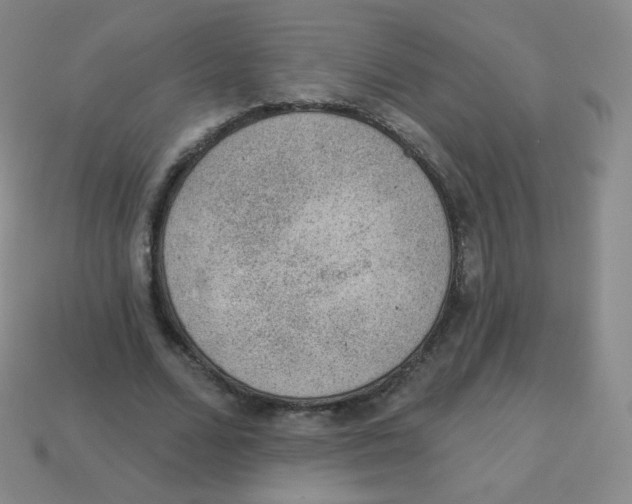 X0000113900680200910221439