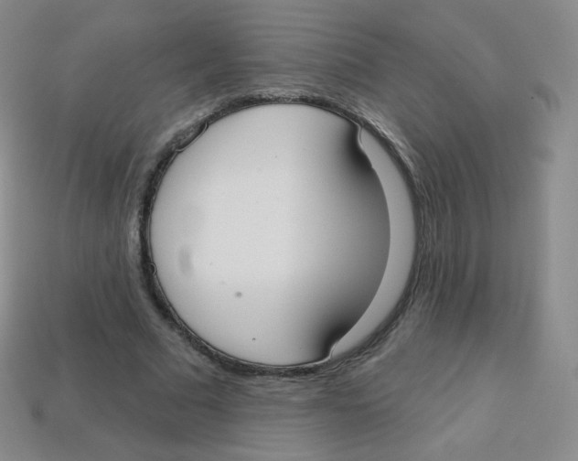 X0000113900681200910221439