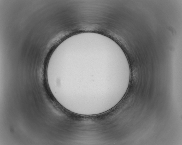 X0000113900682200910221439