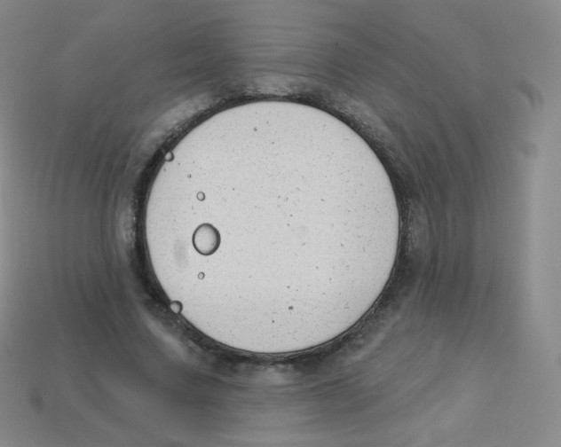 X0000113900683200910221439