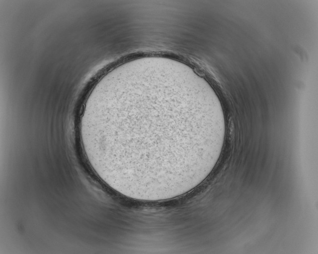 X0000113900684200910221439