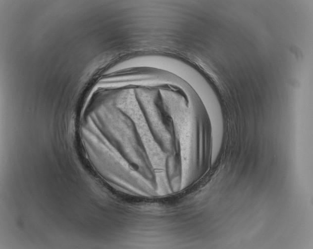 X0000113900685200910221439