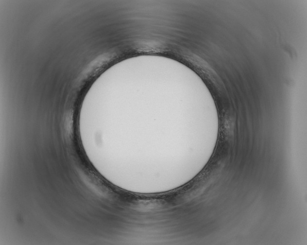 X0000113900686200910221439