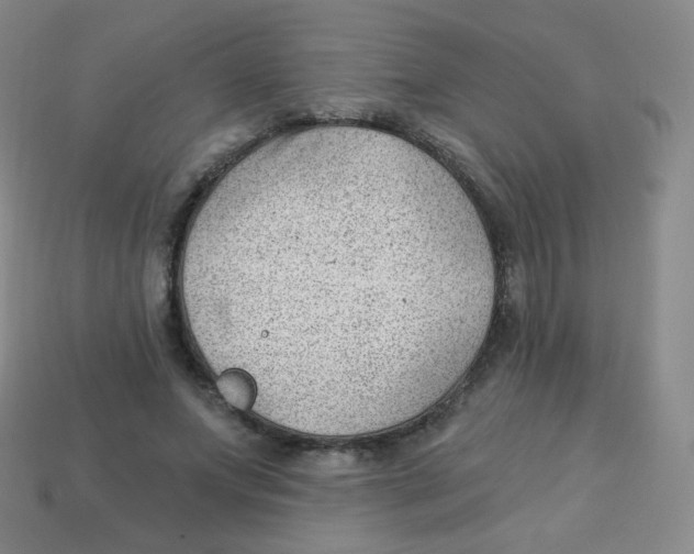 X0000113900687200910221439