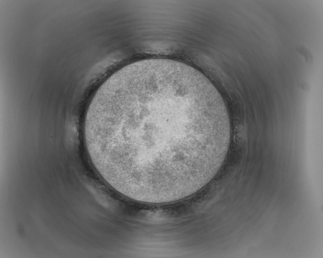 X0000113900688200910221439