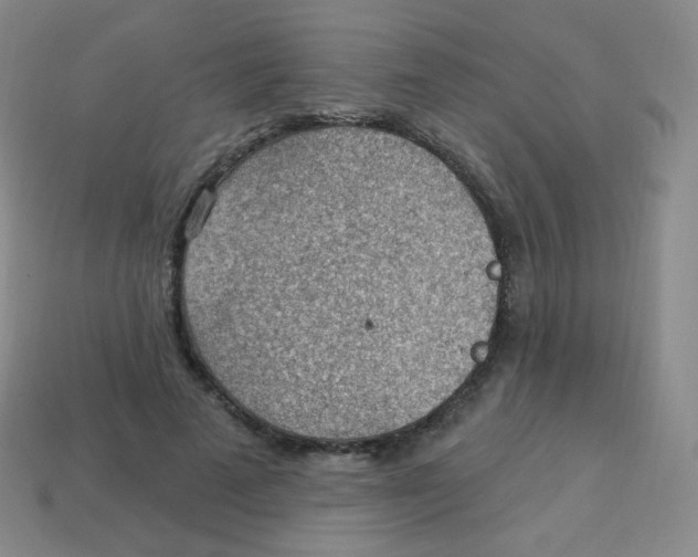 X0000113900689200910221439