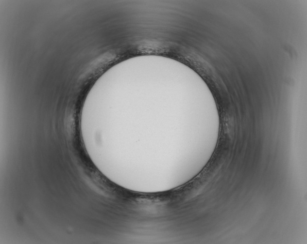 X0000113900690200910221439