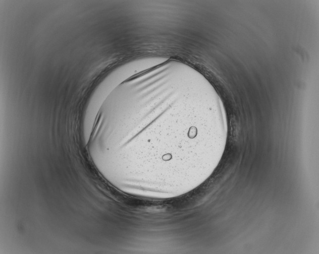 X0000113900692200910221439