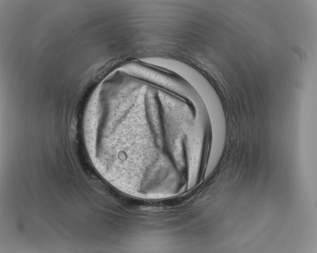 X0000113900693200910221439