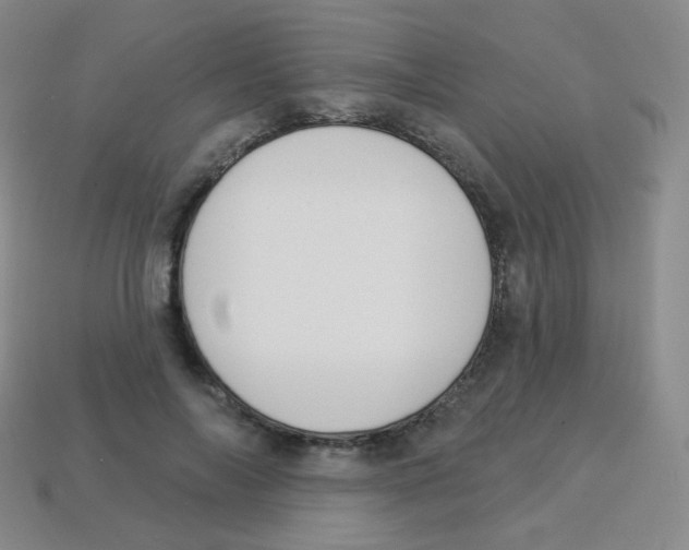 X0000113900694200910221439