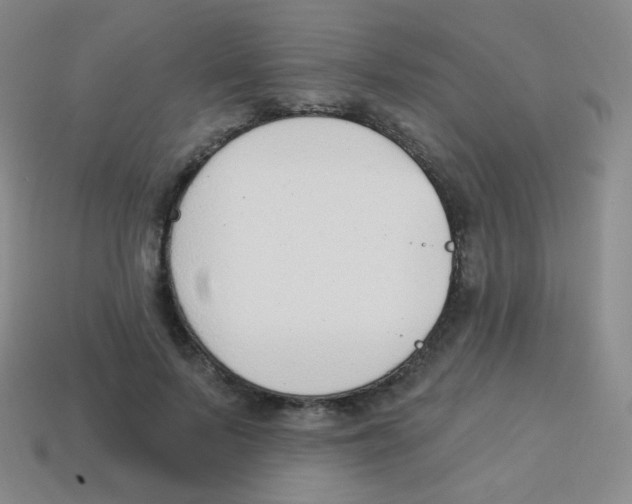 X0000113900695200910221439