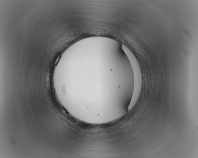 X0000113900696200910221439