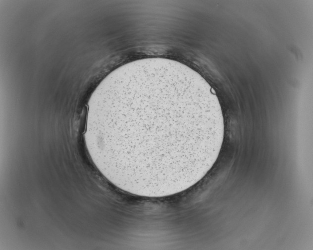 X0000113900697200910221438